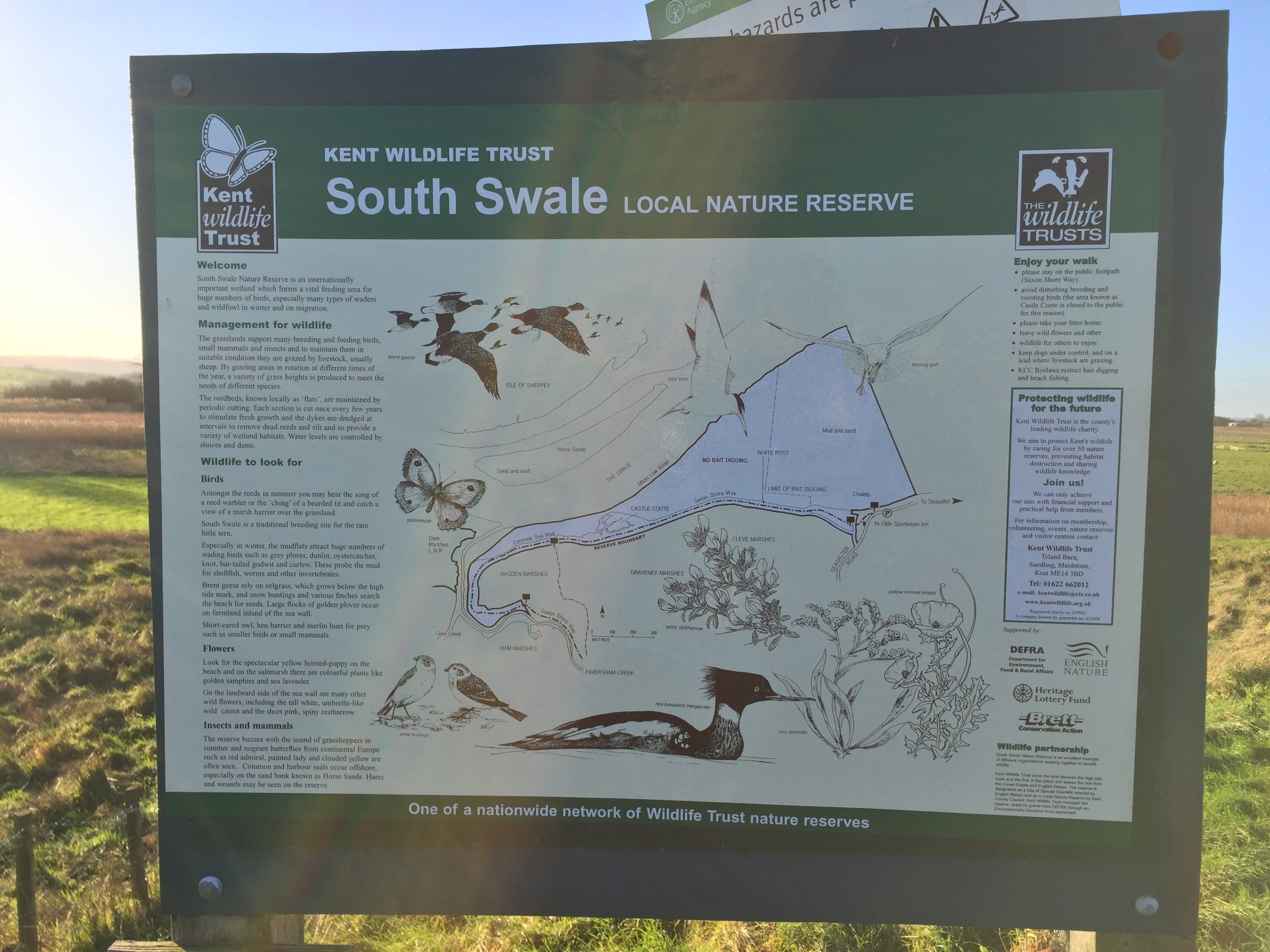 South Swale Nature Reserve Information Board